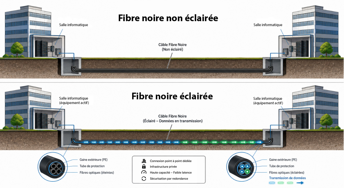 Fonctionnement de la fibre noire Fonctionnement de la fibre noire